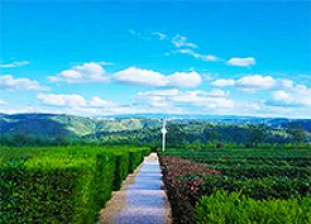 灵山胜境陵园