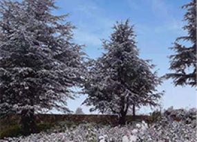 玉案山公墓