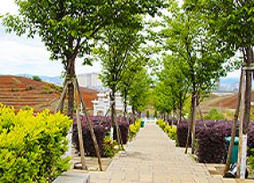 广南县大田陵园