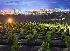 广南县大田陵园