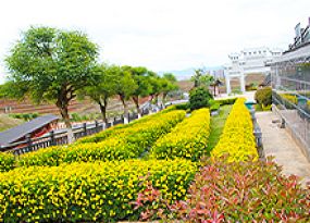 广南县大田陵园